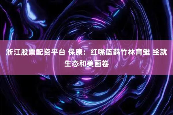浙江股票配资平台 保康：红嘴蓝鹊竹林育雏 绘就生态和美画卷